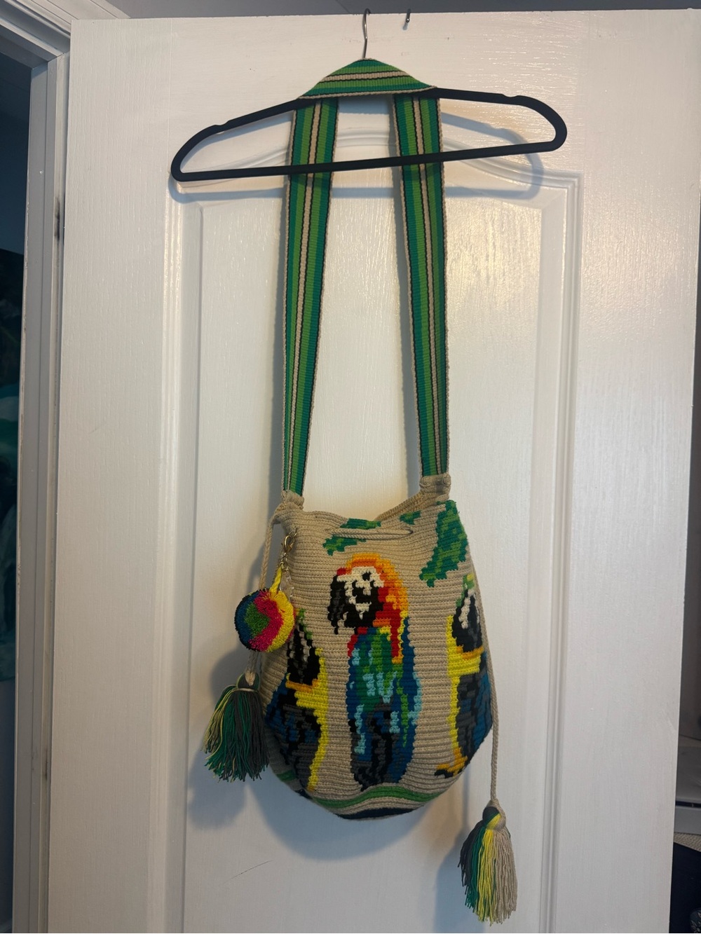 Handwoven Parrot Pattern Shoulder Bag in Multicolor